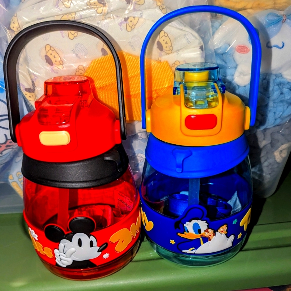 Disney Characters water bottles